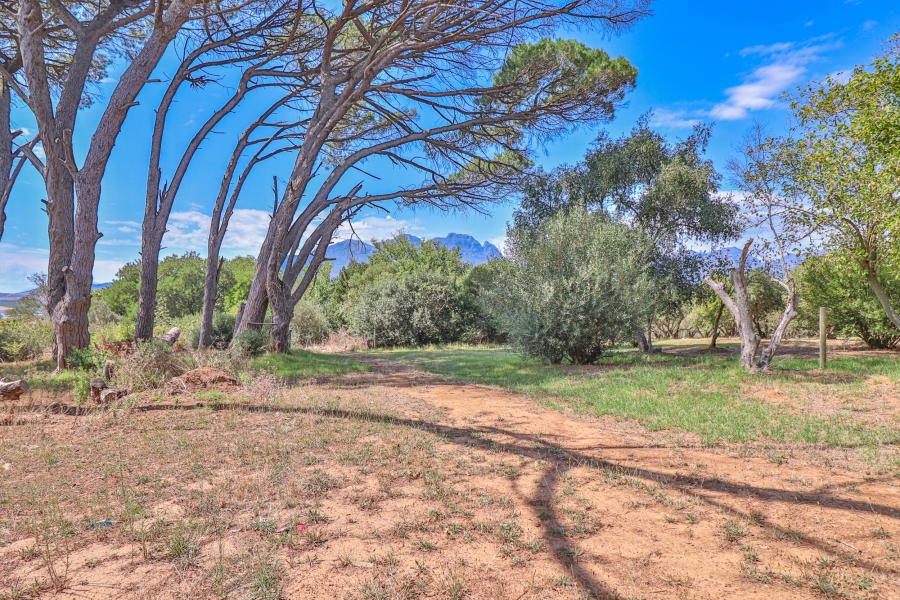 10 Bedroom Property for Sale in Stellenbosch Farms Western Cape